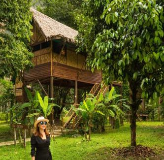 Khlong Sok Resort | Our Jungle Camp - Eco Resort