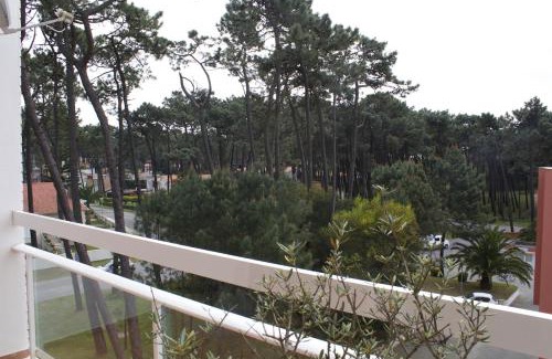 Viana do Castelo Apartment | Our sweet flat by the beach