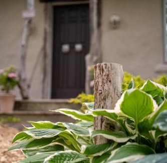 Carrying Place Bed & Breakfast | Owl's Nest Suites