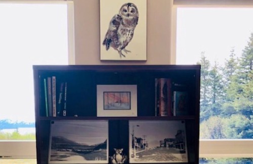 Homer House | OWL'S OVERLOOK FAMILY SIZED HOME 10 MINUTES FROM DOWN TOWN HOMER