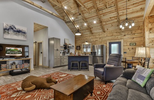 Ellijay Cabin | Owl's Roost - 2BR, Hot Tub, Firepit, Dog Friendly/Minimum Age Requirement of 2