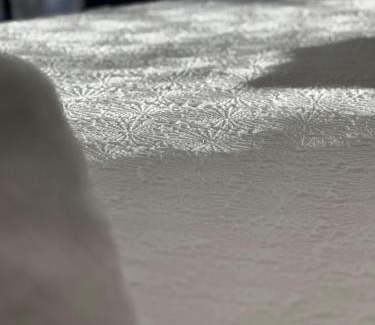 Horton House | Oxwich View Cottage