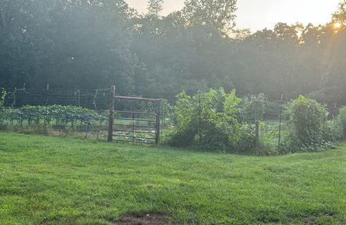 Pelsor House | Ozark Foothills Country HomenNewly Remodeled