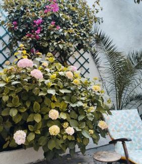 Tomar Apartment | Pátio da Laranjeira