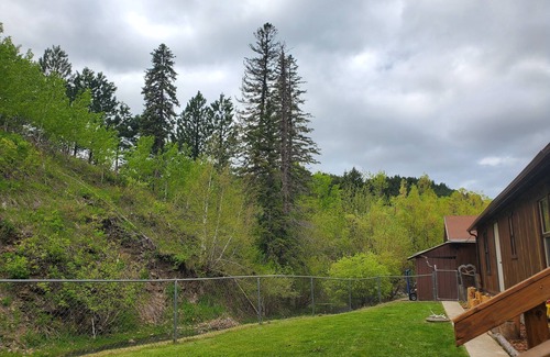 Deadwood House | PA's HOUSE; COMFY; PETS; DEADWOOD, MICHELSON TRAIL. UTV & EBIKE RENTAL; HWY 385