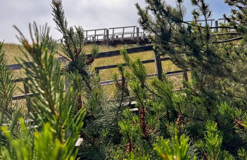 Shorepine Village Apartment | Pacific City Serenity: Walk to Beach, Pelican Brewery & Iconic Cape Kiwanda