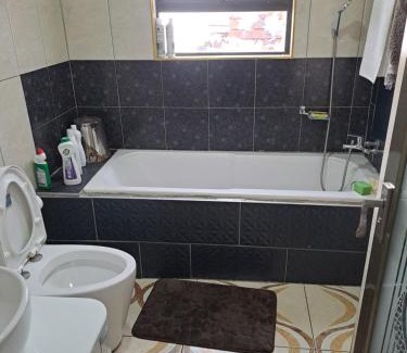 Greater Johannesburg Metropolitan Area Apartment | Paden Guesthouse