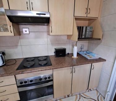 Greater Johannesburg Metropolitan Area Apartment | Paden Guesthouse