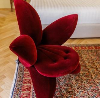 Pisa City Centre Apartment | PALAZZO DELLA BIANCA-Royal Experience