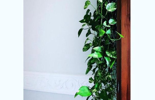 Catanzaro Bed & Breakfast | Palazzo Samà