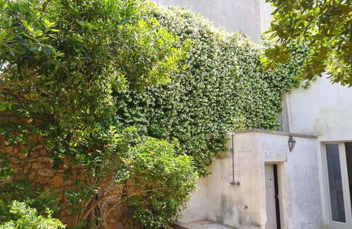 Lucugnano House | Palazzotto in Salento near the Sea Tricase