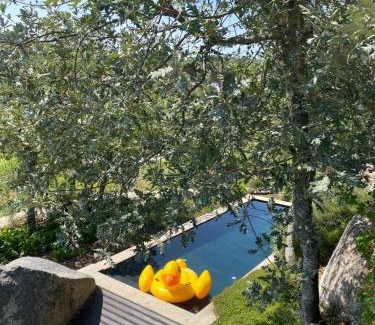 Castro Daire Ski Chalet | Palheiro Mezio