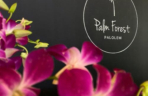 Canacona Hotel | Palm Forest Palolem