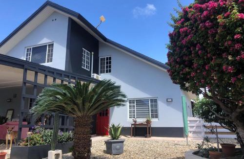 Balashi Apartment | Palmhouse Apartments Aruba 1- 4 persons