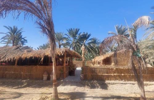 Siwa Other | Paloma Camp