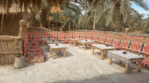 Siwa Other | Paloma Camp