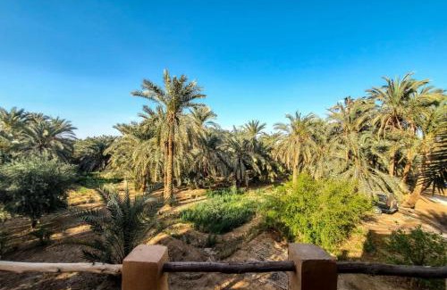 Siwa Apartment | Paloma Lodge
