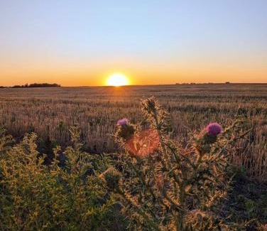 Colonia Baron House | Pampa Cottage