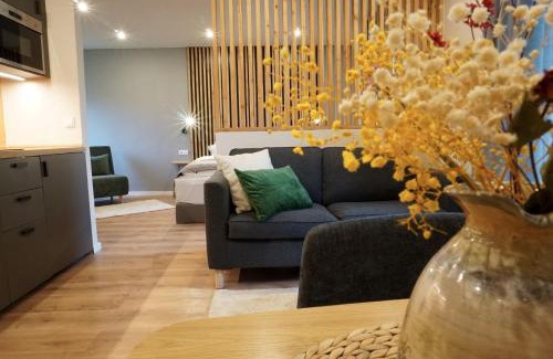 Fichtelberg Apartment | Panorama Apart Fichtelberg