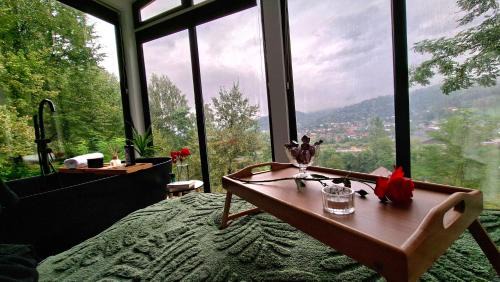 Viseu de Sus Ski Chalet | Panoramic Box