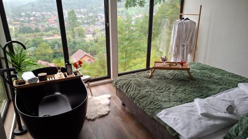 Viseu de Sus Ski Chalet | Panoramic Box