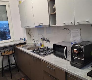 Piatra Neamt Apartment | Panoramic Central Apartment