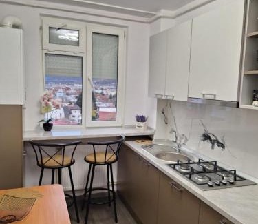 Piatra Neamt Apartment | Panoramic Central Apartment