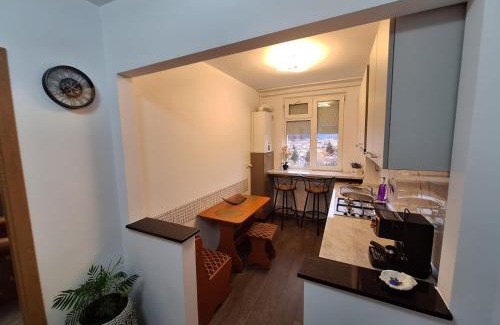 Piatra Neamt Apartment | Panoramic Central Apartment