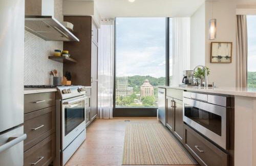 Downtown Asheville Apartment | Panoramic Pack Square