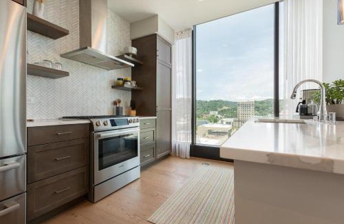 Downtown Asheville Apartment | Panoramic Pack Square