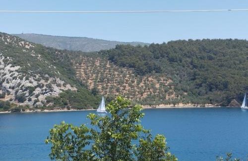 Mytilene Apartment | Pansofia