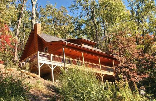 Black Mountain House | Panther Cat Perch