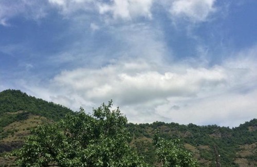 Zanavi House | Papuna Guest House