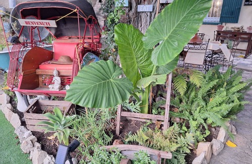 Avignon House | paradis colibri