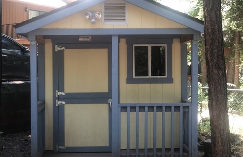 Christopher Creek Cabin | Paradise Cabin in the Pines Comfortable Patios and porch swing Watch kids play