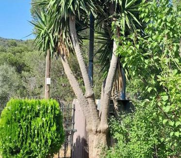 Ormos Agiou Ioannou House | PARADISE