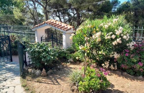 Ormos Agiou Ioannou House | PARADISE