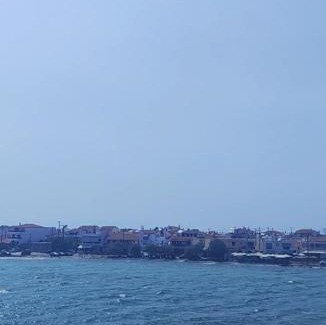 Voies House | Paradise