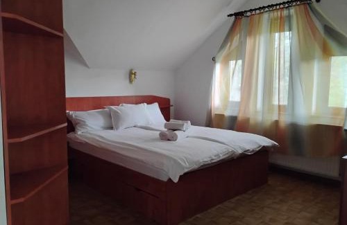 Brasov Villa | Paradise View