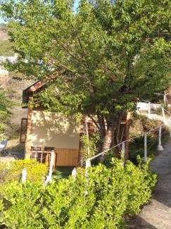 Shimla Resort | Paradise Village Resort