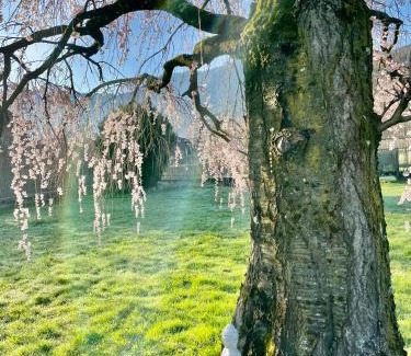 Calceranica al Lago House | Paradiso sul lago
