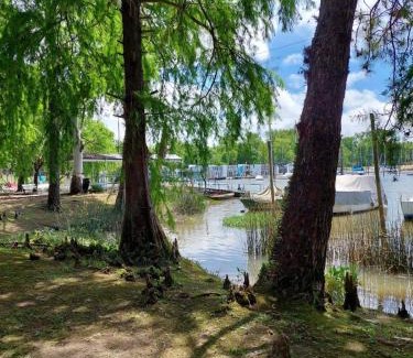 San Fernando House | Paraiso Flotante