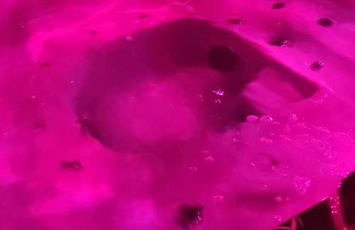 Santa-Lucia-di-Mercurio House | PARFUMU DI MACHJA UNUSUAL ROOMS