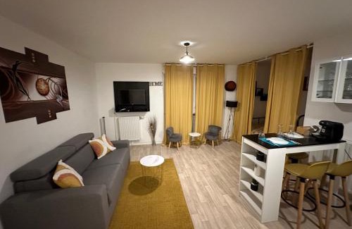 Torcy Apartment | Paris- Disney - Parking privé !PKN!