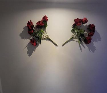 Rosny-sous-Bois Apartment | Paris Rosny 2 - Appartement Love Room with Jacuzzi