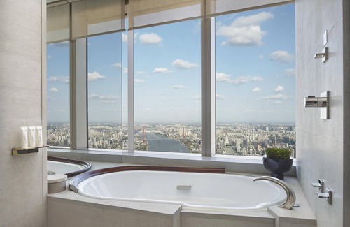 Lujiazui Hotel | Park Hyatt Shanghai