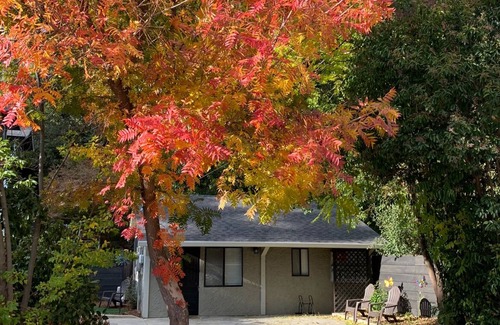 Chico House | Parkside Cottage on Bidwell Park! Enjoy the trails and perfect location to all!
