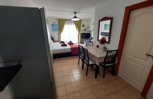 El Madronal Apartment | Parque Cattleya 101 cozy studio in the center