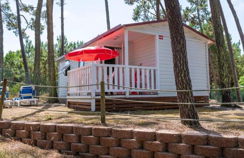 Cacia Other | Parque de Campismo Orbitur Sao Jacinto