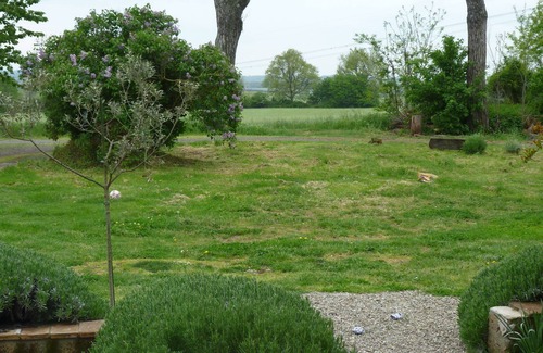 Castel Giorgio Apartment | Part of a stylishly renovated Umbrian estate near Orvieto and Bolsena